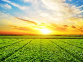 zasady zrównoważonego rolnictwa