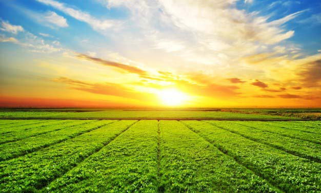 zasady zrównoważonego rolnictwa